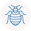 Bed Bug Extermination In Penrith
