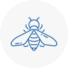 Bee Nest Removal Penrith