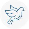 Bird Prevention Penrith
