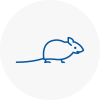 Mice Exterminators In Penrith