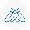 Moth Control Specialists In Penrith