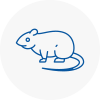 Rat Control Penrith