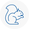 Penrith Rodent Removals